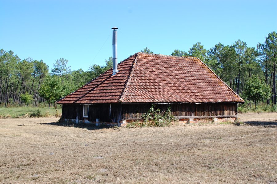 Holzhütte in Le Temple im Médoc, Frankreich