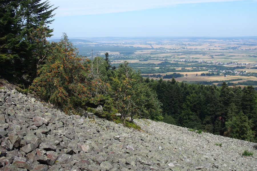 Gołoborze-Geröllhalde am Łysa Góra im Heiligkreuz-Gebirge in Polen