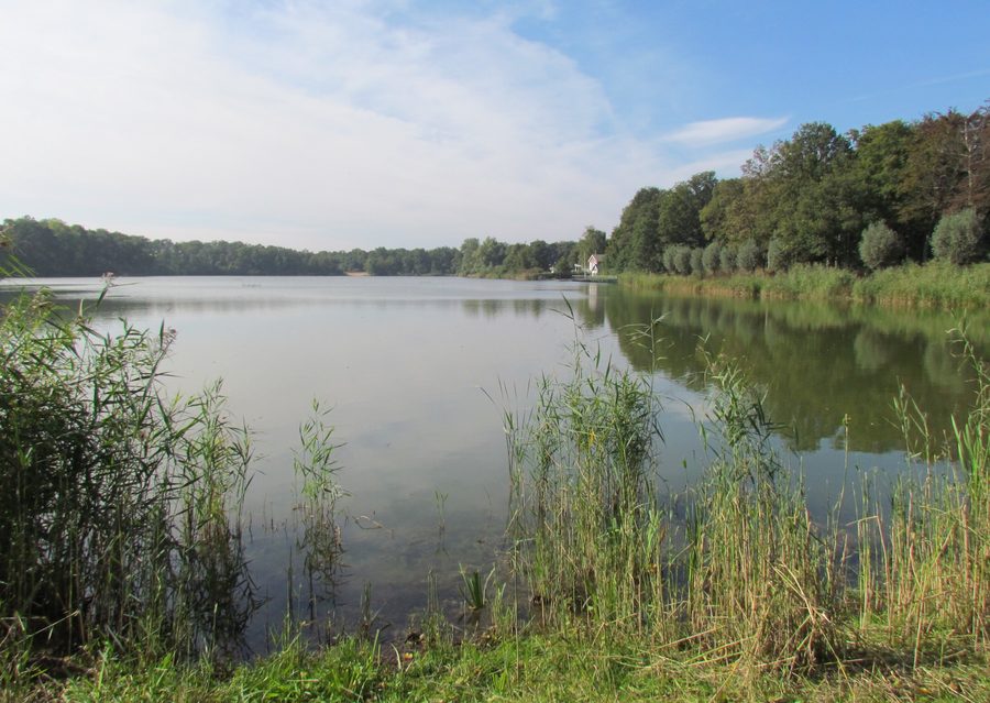 De IJzeren Man lake near Weert