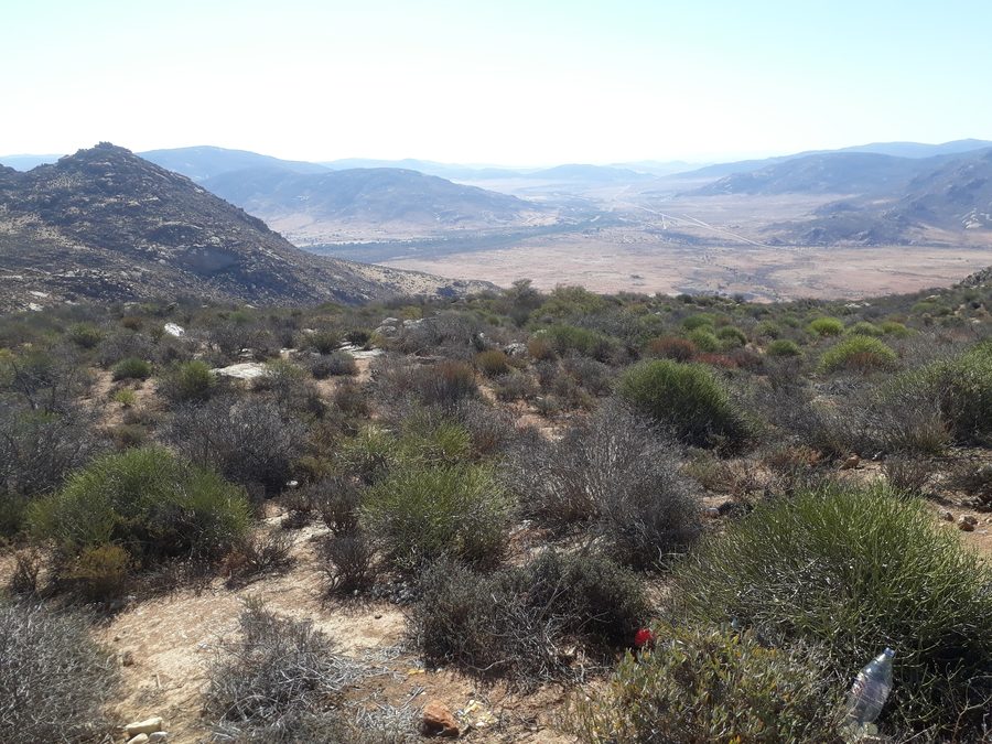 A road in the South African hinterland leading west.
