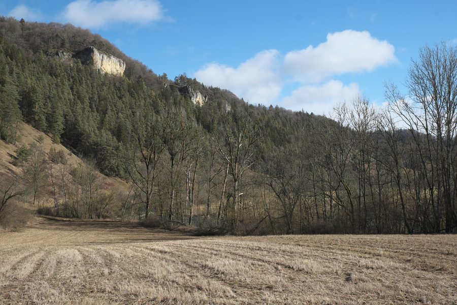 Rock landscape and the Danube Valley near Mühlheim an der Donau