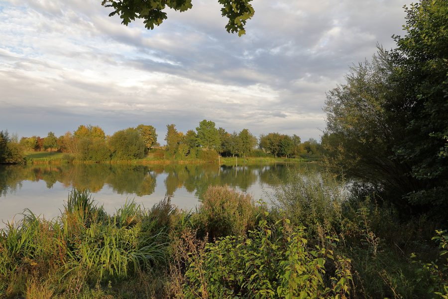 Rinderfelder Lake near the Niederstetten district of Rinderfeld