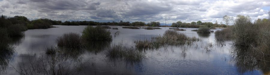 Lagoon of Villadangos del Páramo in León