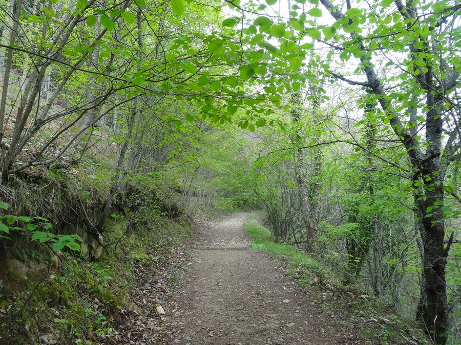 File:Osor, Province of Girona, Spain - panoramio (1).jpg
