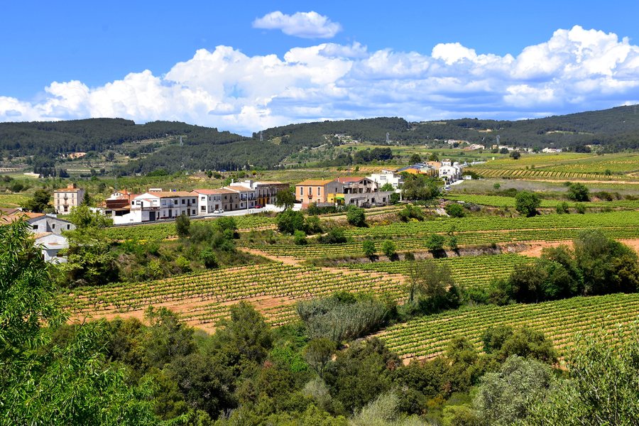 File:Cantallops, Avinyonet del Penedès - 51176381762.jpg