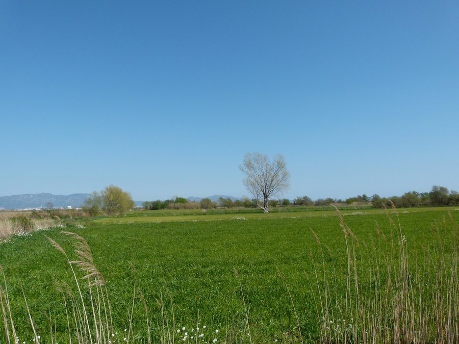 File:La Fangada - Riumors i Fortià - P1130547.jpg