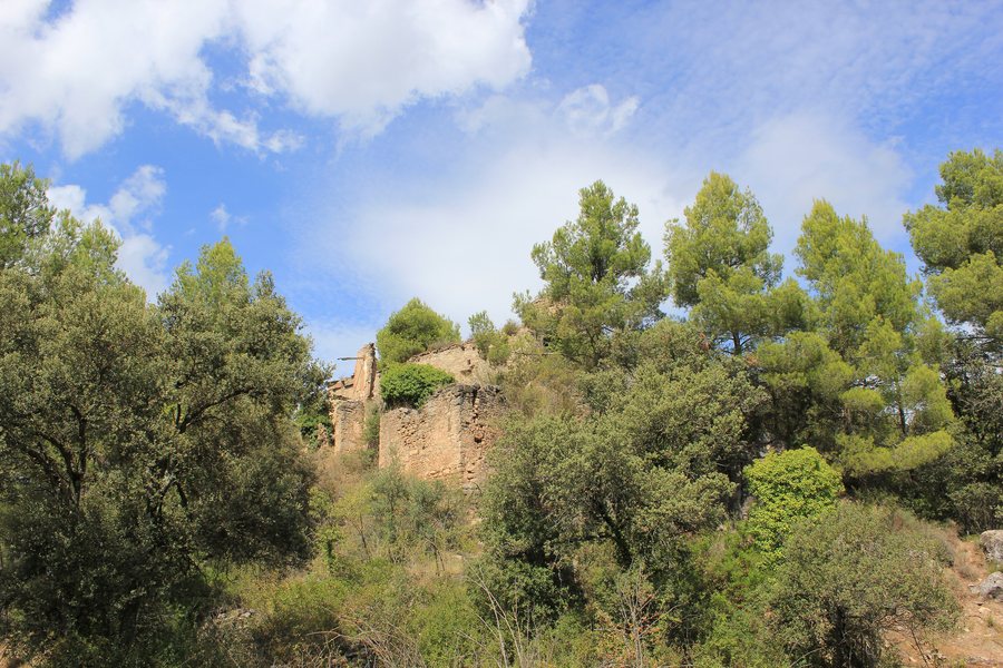 File:Castell de Clariana - Vista des del sud.jpg