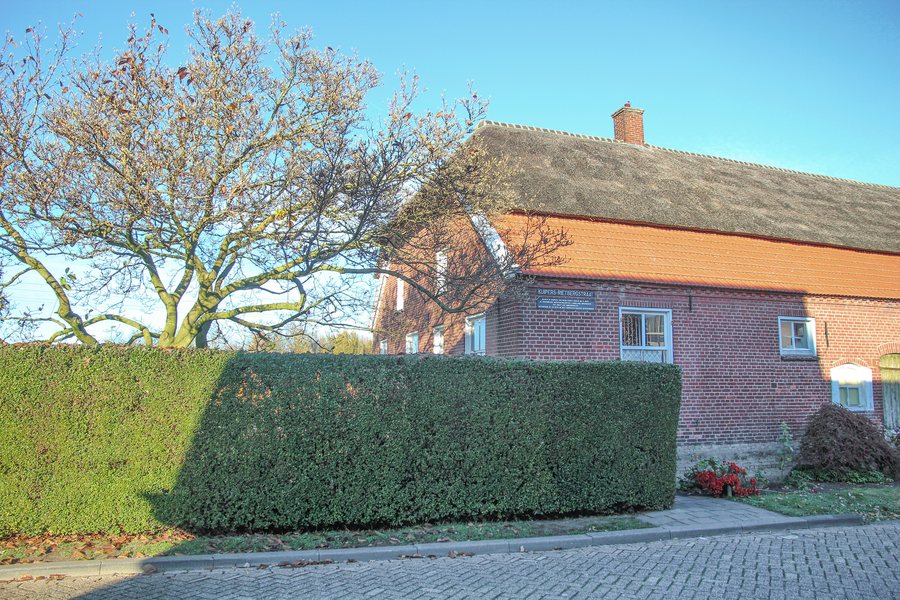 File:Koornstraat 143 Oss met boom.jpg