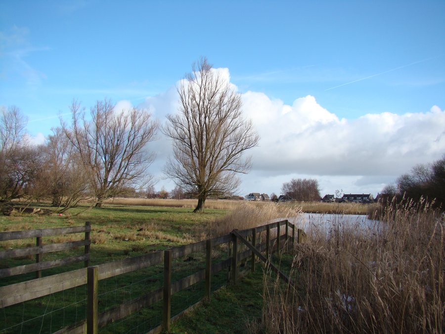 File:Den Ilp.JPG