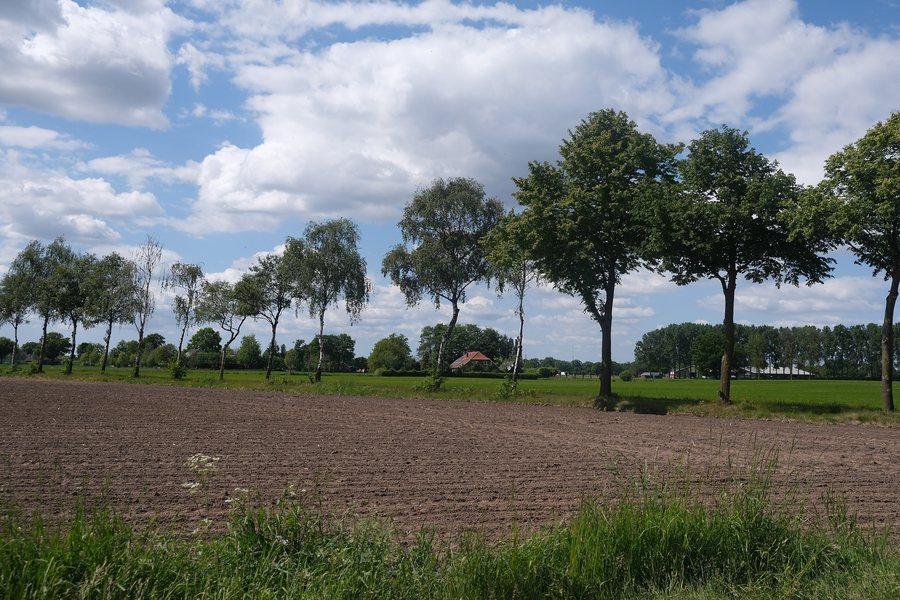 File:2025-05-17 Westendorp Oude IJsselstreek 01.jpg
