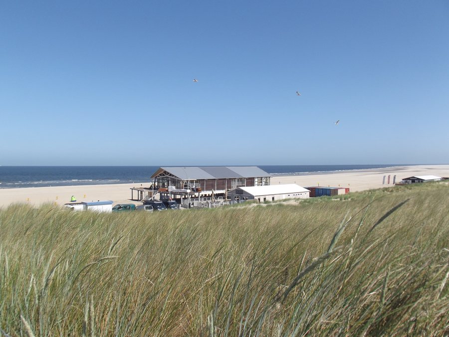 File:Bouw permanente strandtent bij Ter Heijde.jpg