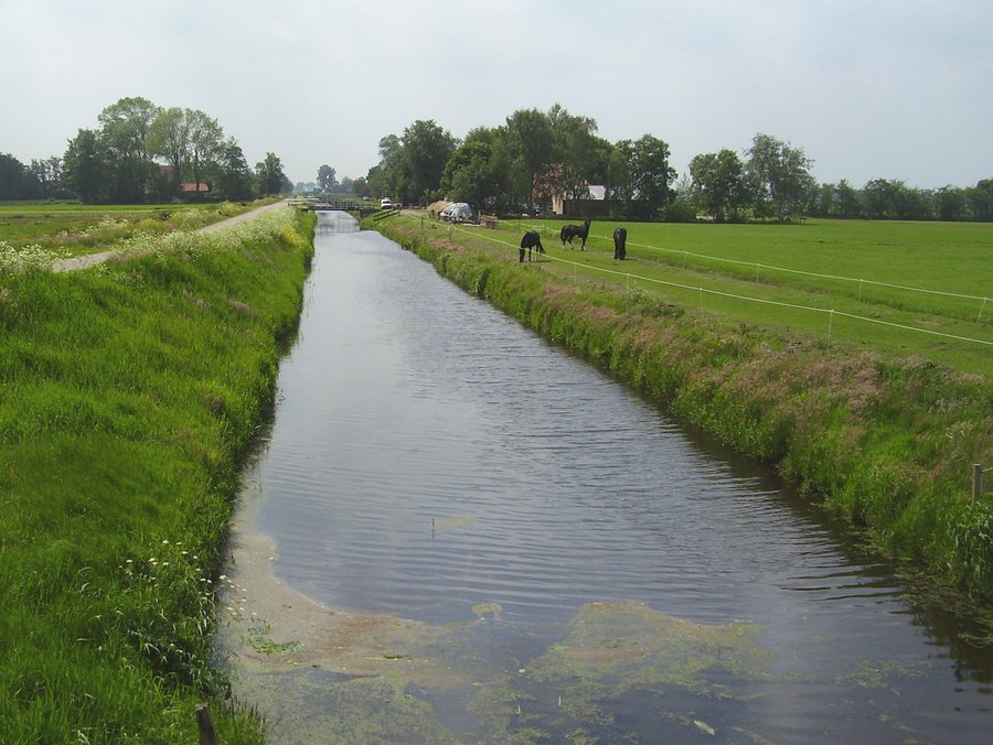 File:Munnekeburen Gracht 2007.jpg