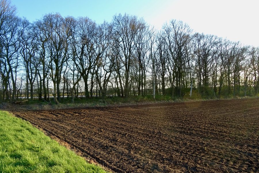 File:20220414 omgeving grafheuvel hoofdman Drouwen.jpeg