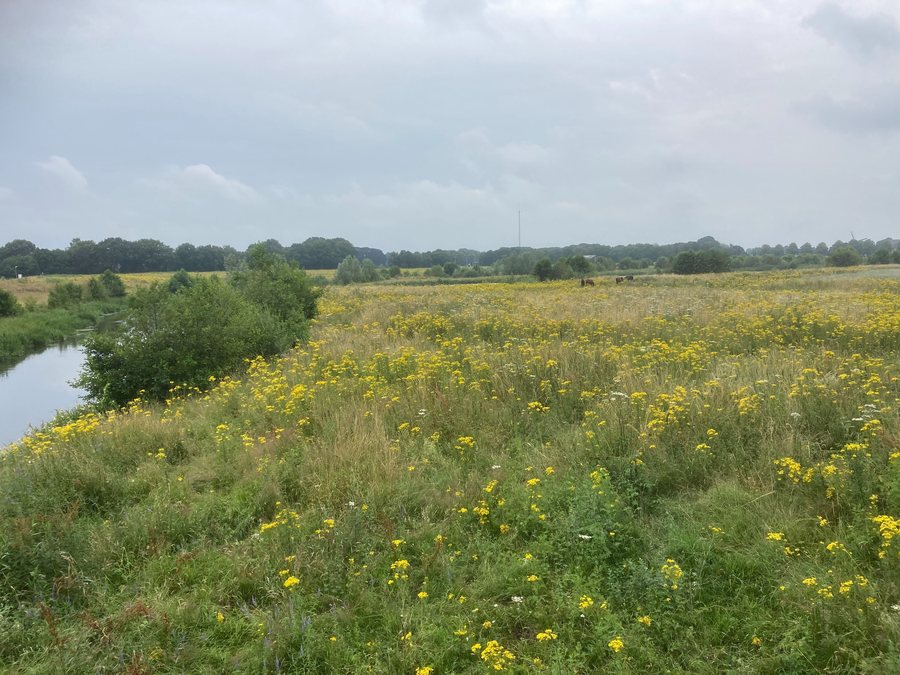 File:Collendoorn 04 28 37 942000.jpeg