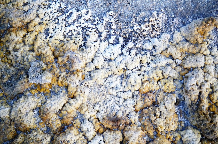 File:Sulphur (yellow-grey) iron (red) concretion and crystals of biotite (black), Caldara di Manziana, Italy.jpg