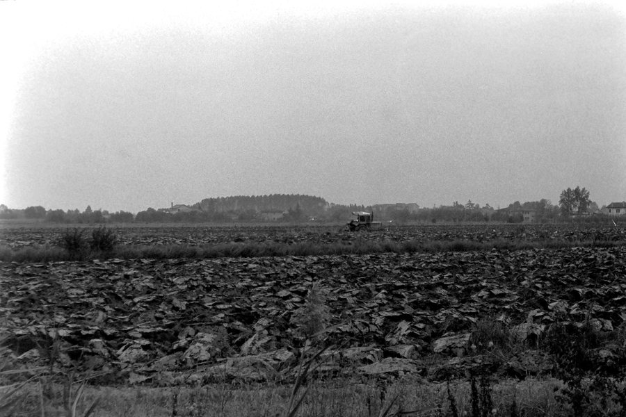 File:Mogliano Veneto, Zerman, 31 ottobre 1987 01.jpg