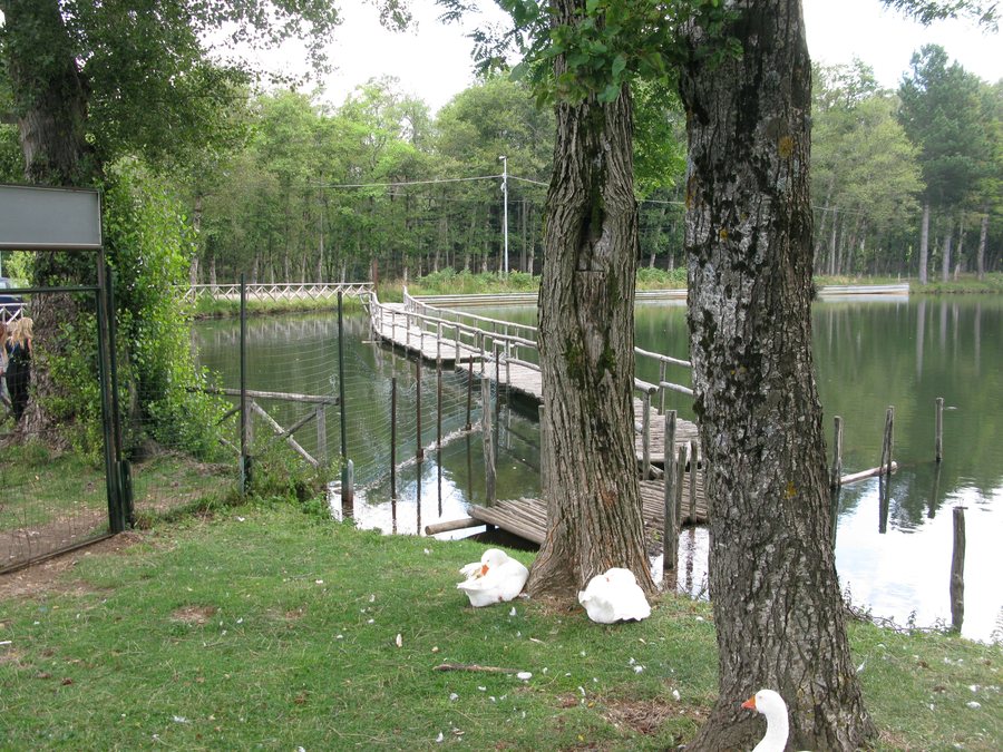 File:Lago Rumia - San Roberto (Reggio Calabria) - Italy - 14 Aug. 2018 - (1).jpg