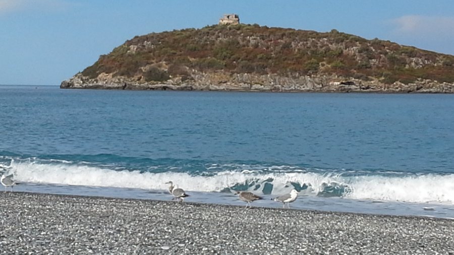 File:Diamante la torre sull'isola di Cirella e i gabbiani sulla spiaggia 20170814 082422.jpg