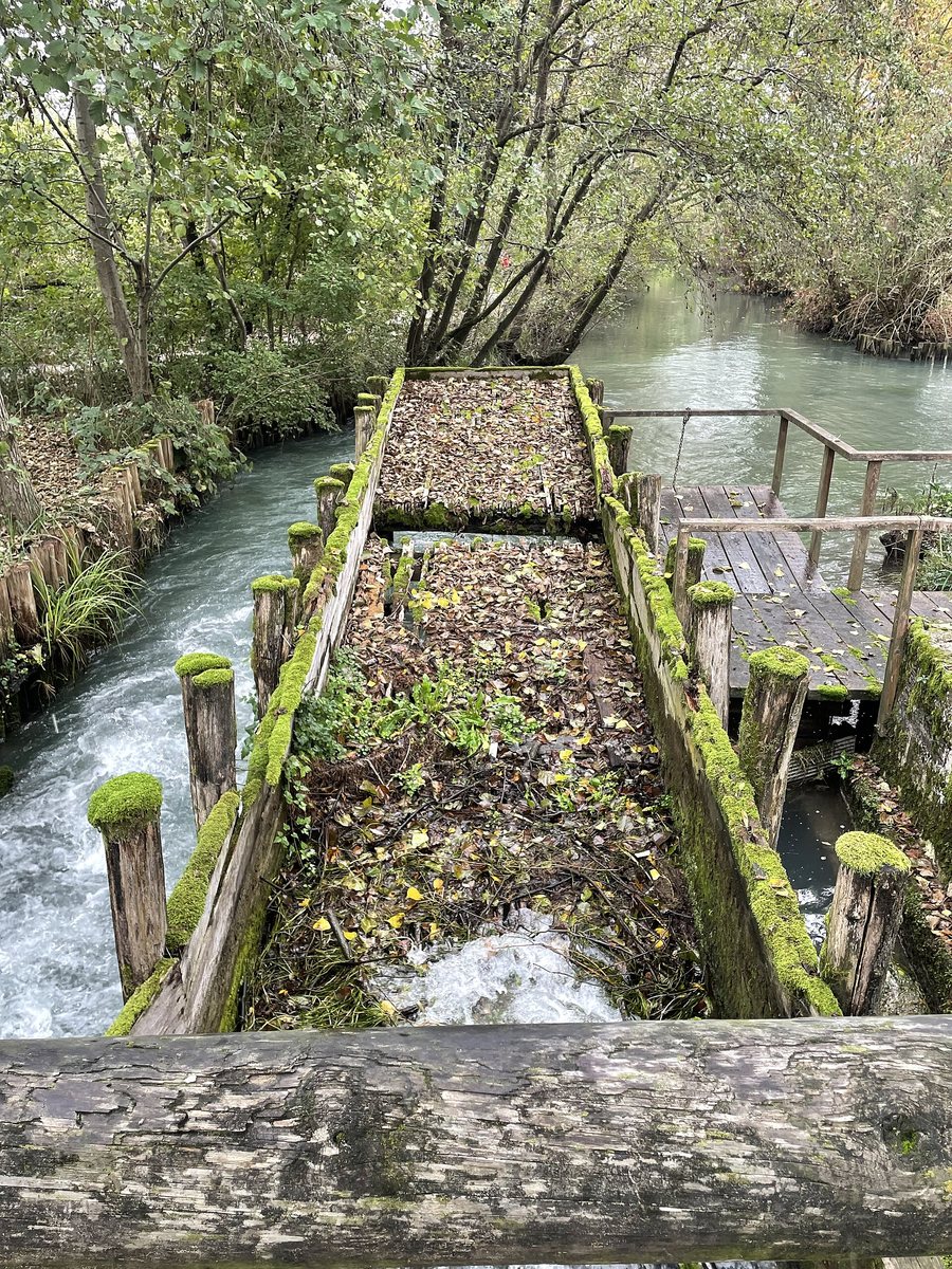 File:Oasi naturalistica Mulino Cervara Quinto di Treviso F03.jpg