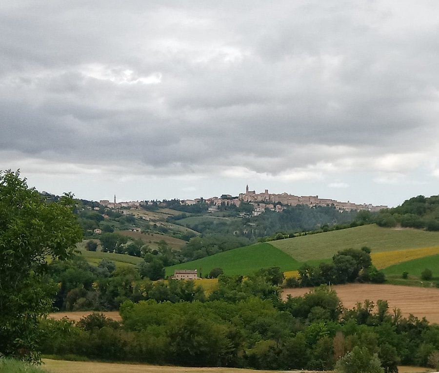 File:Mogliano panorama 2020.jpg
