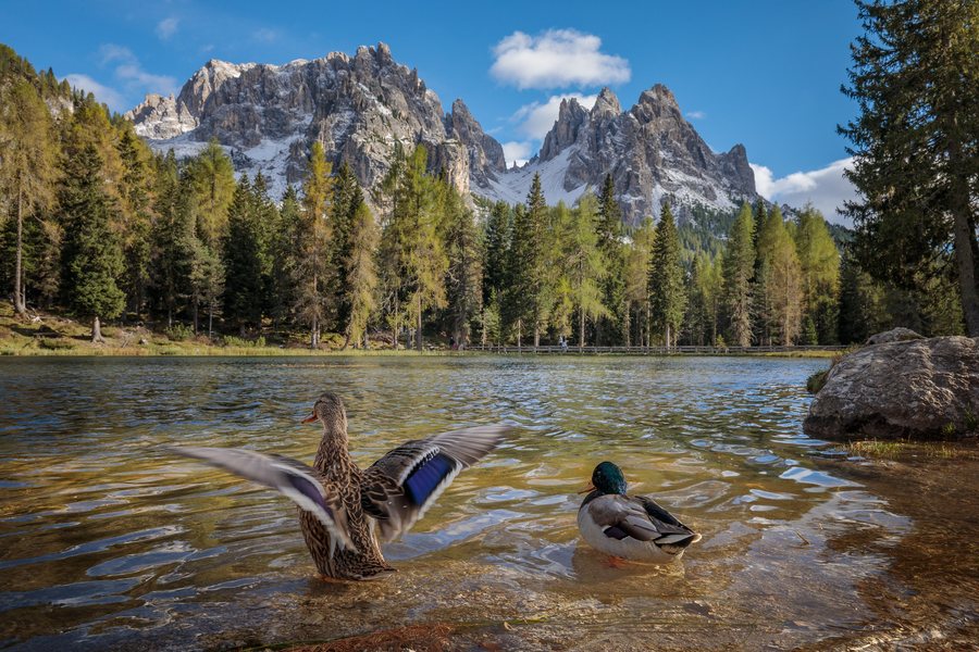 File:Lago d'Antorno and Cadini di Misurina, Auronzo di Cadore, Veneto, Italy, 2025 October.jpg
