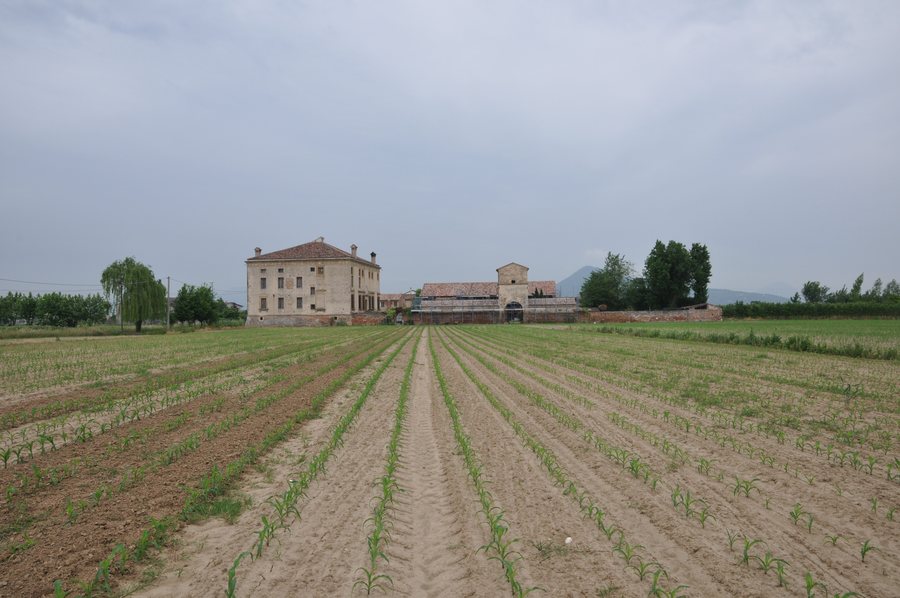 File:36020 Agugliaro, Province of Vicenza, Italy - panoramio.jpg