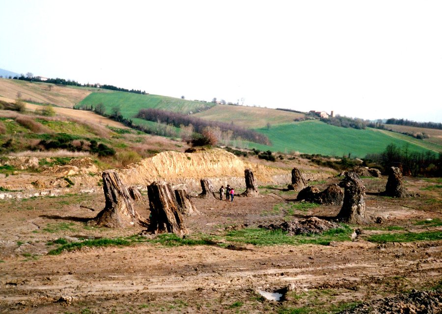 File:Dunarobba.jpg