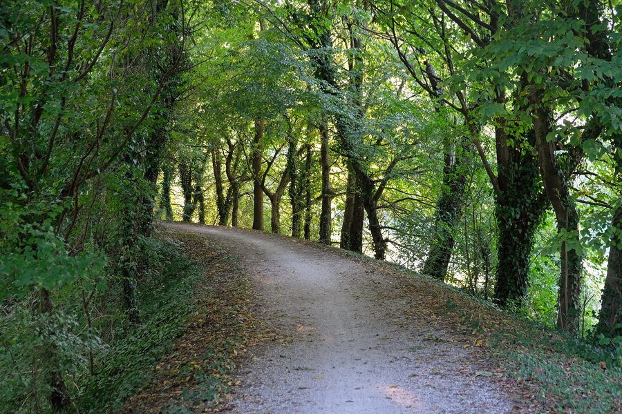 File:E4 Girasile near Quarto d Altino 5.jpg