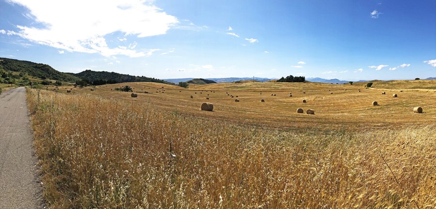 File:Campagna attorno Contessa Entellina 02.jpg