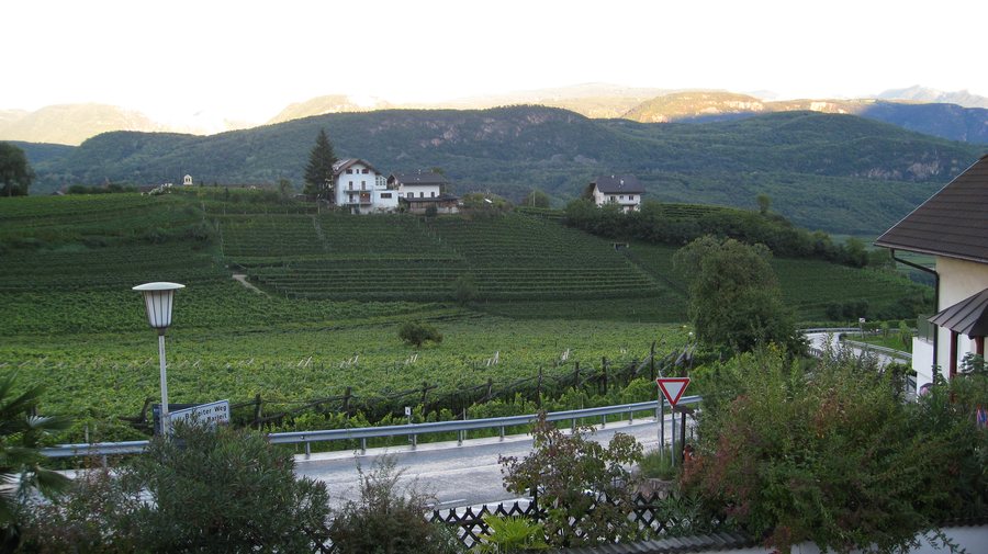 File:39052 Kaltern an der Weinstraße, Province of Bolzano - South Tyrol, Italy - panoramio.jpg