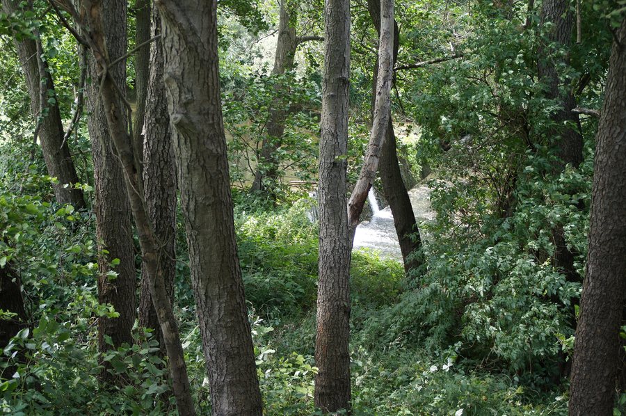 File:Bardineto - panoramio.jpg