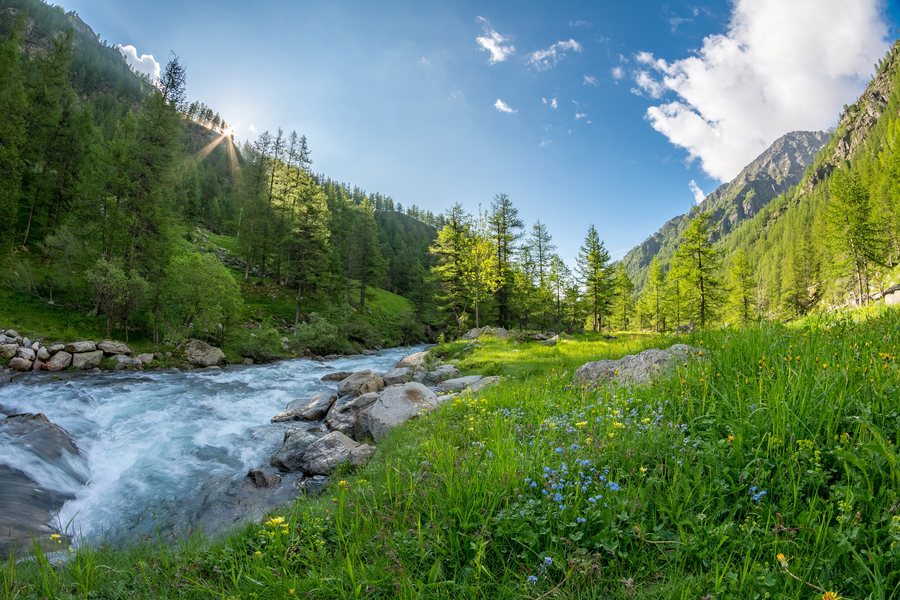 File:Salendo al Pian d'Azaria - Campiglia Soana, PNGP.jpg