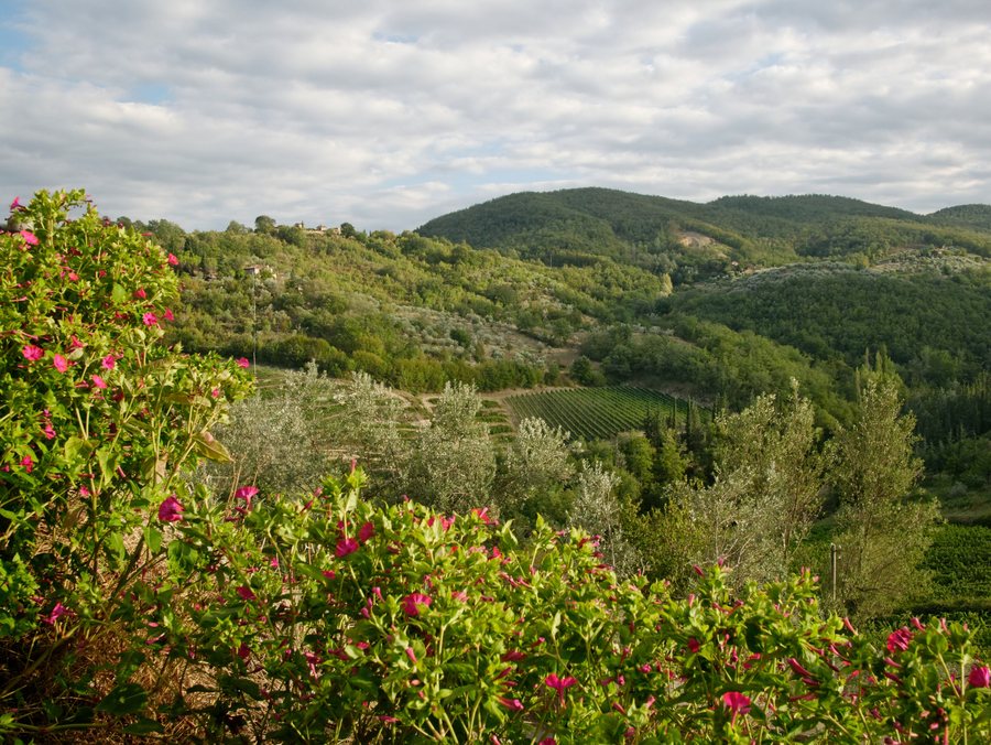 File:Panorama Montefioralle n02.jpg