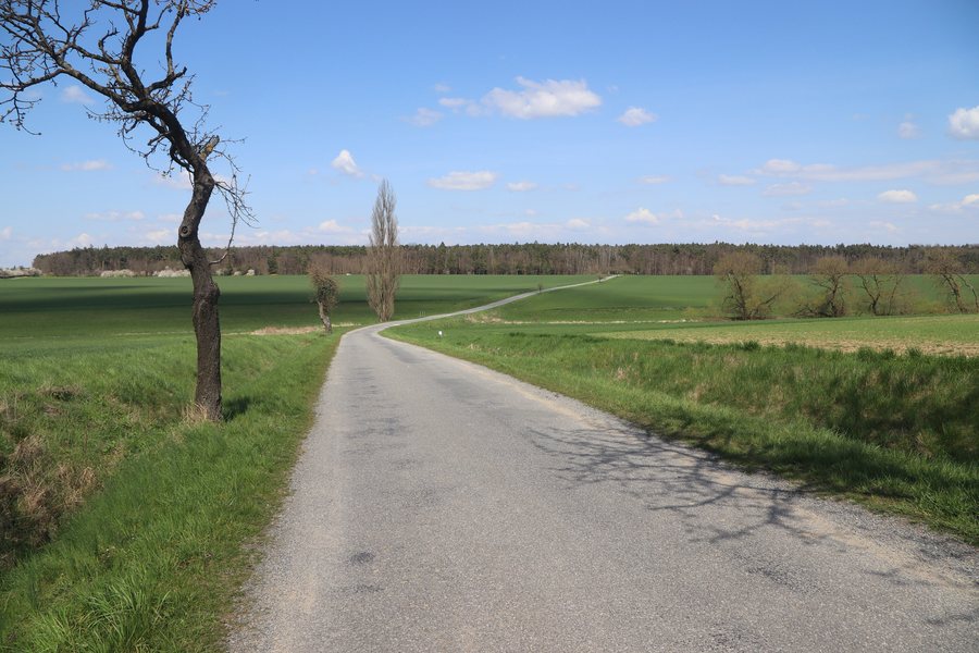 File:Overview of road III 4113 near Nimpšov, Třebíč District.jpg