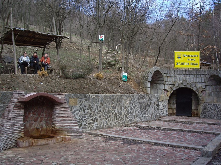 File:Breznik-iron-water-spring.jpg
