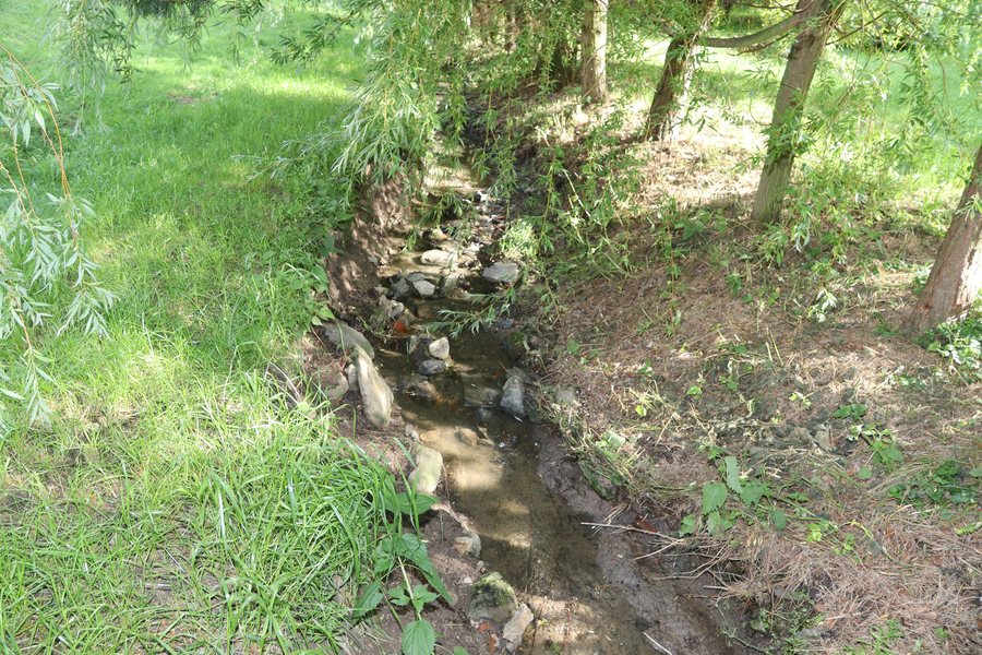 File:Overview of Podvesní potok in Přešovice, Třebíč District.jpg