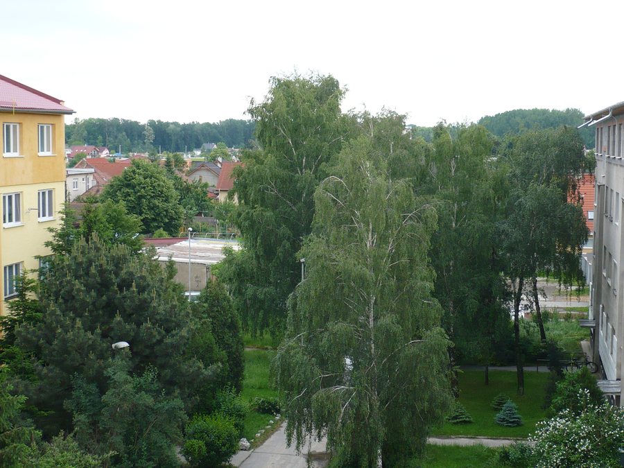 File:Farná Ivanka pri Dunaji Slovakia.JPG
