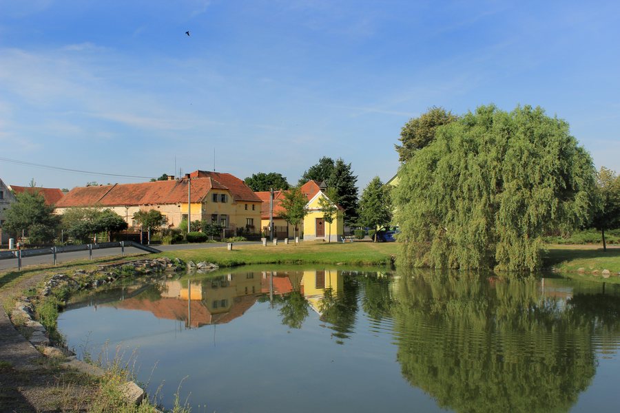 File:Kotovice, common pond.jpg