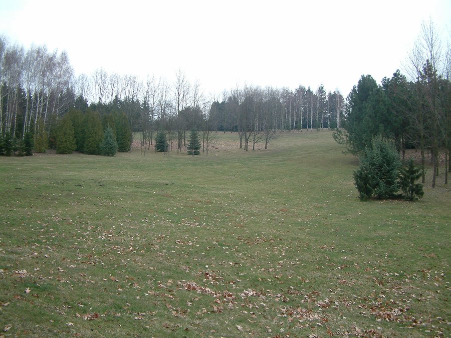 File:951 76 Tesárske Mlyňany, Slovakia - panoramio - Marián Hubinský (1).jpg