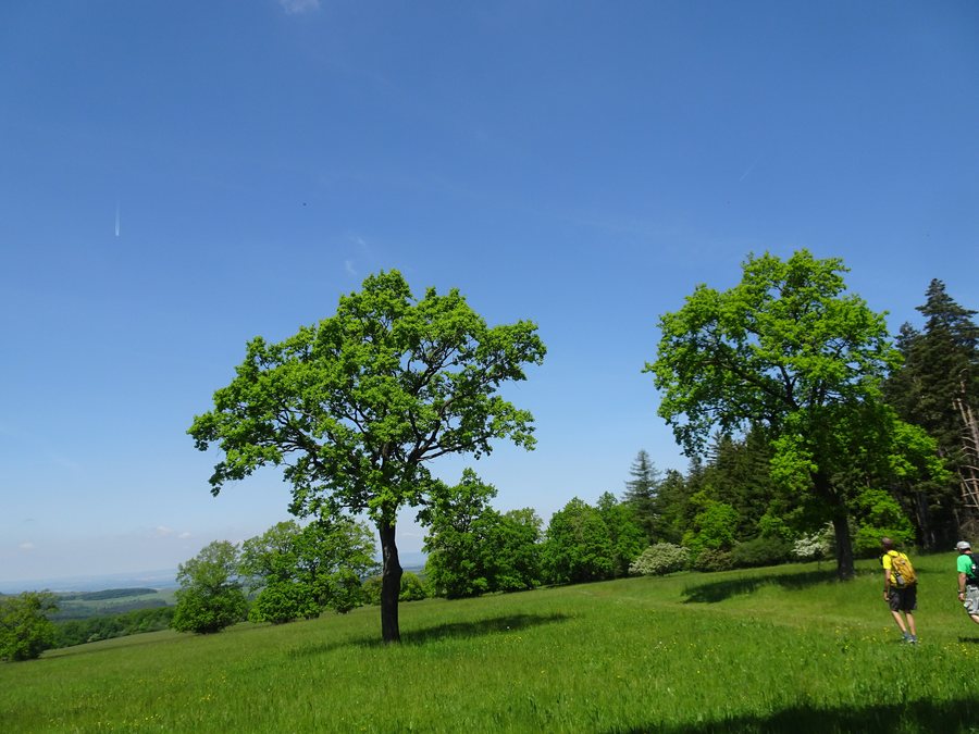 File:Nová Lhota, louky (2).jpg