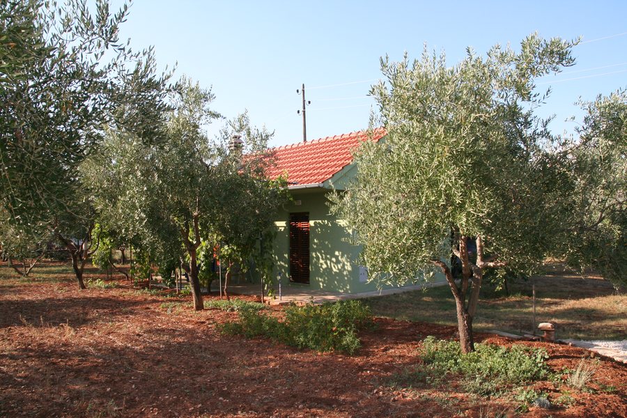 File:Sukošan 01.jpg