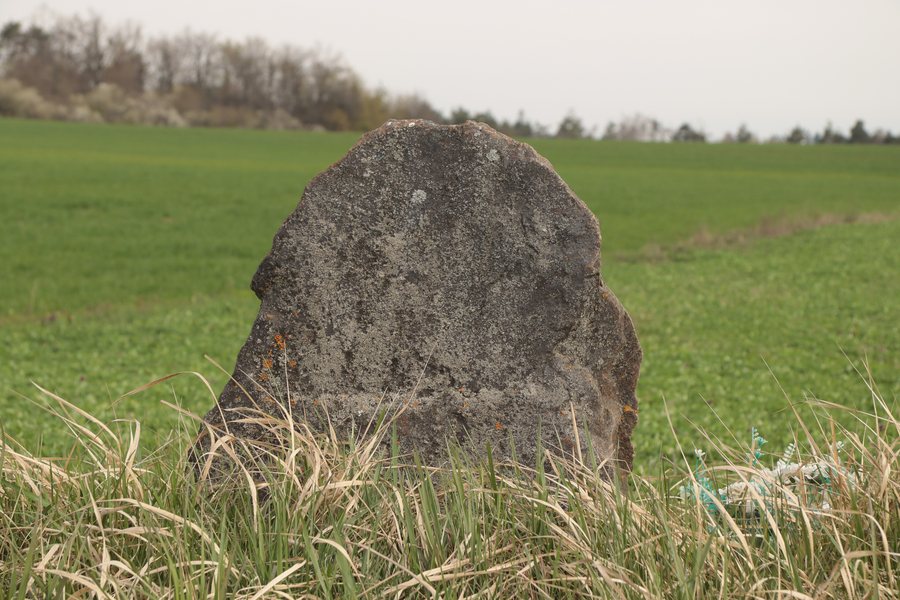 File:Overview 2 of penitence cross near road near Petrůvky, Třebíč District.jpg