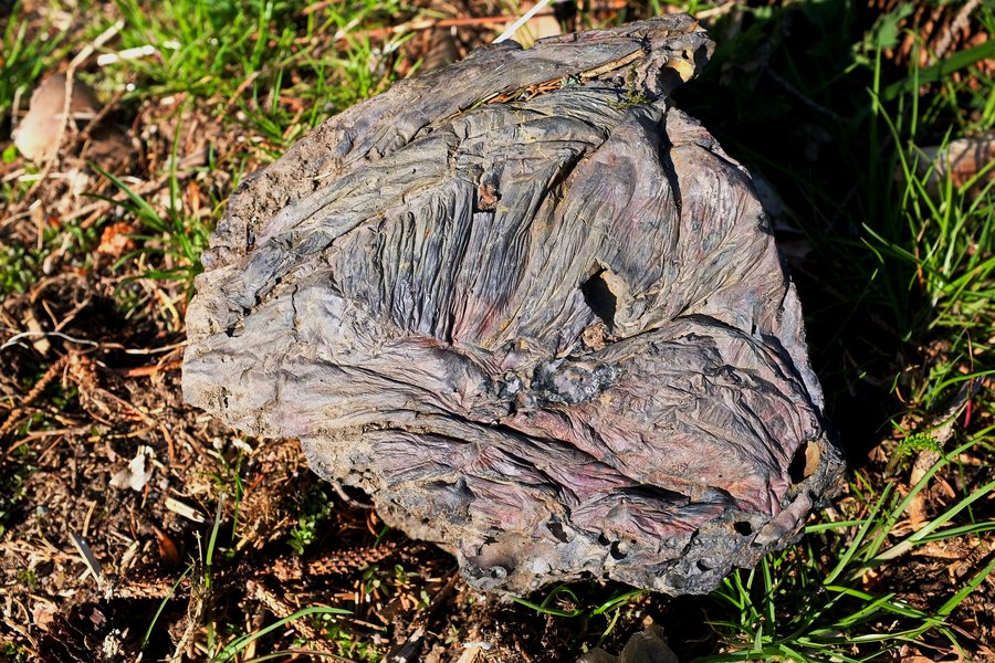 File:Chodovská Huť haldy strusky po hutnění polymetalických rud (2).jpg