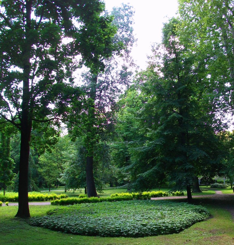 File:Kalisz Park Miejski.JPG
