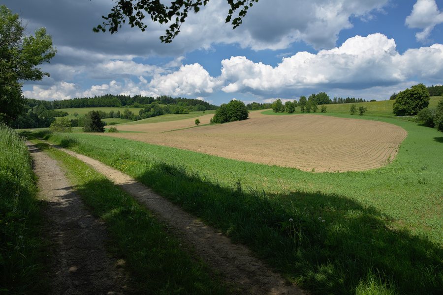 File:Drozdov (08).jpg