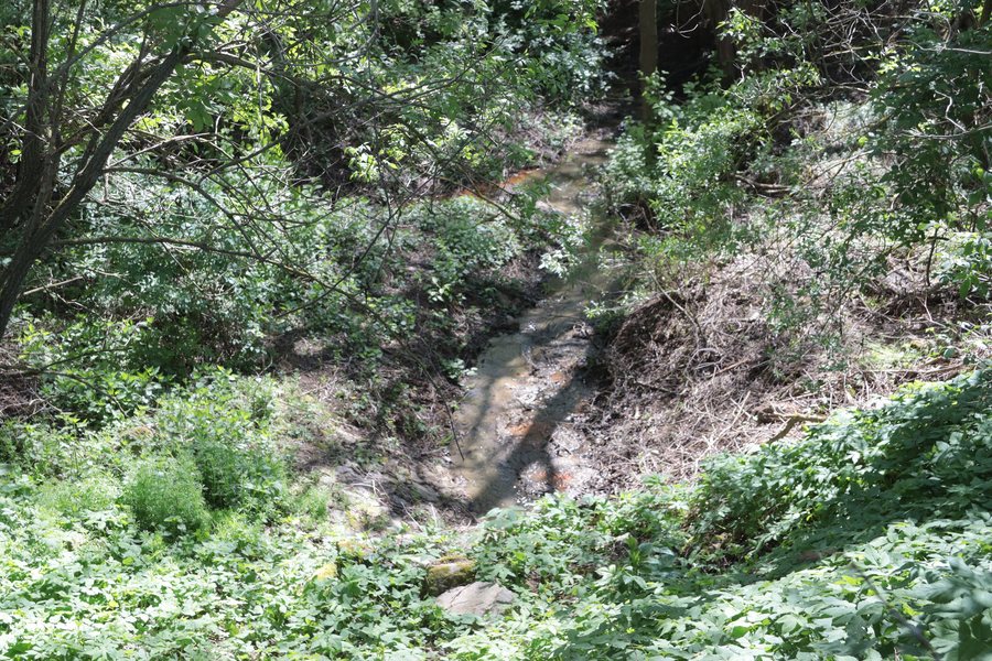 File:Overview of Vícenický potok near Vícenice, Třebíč District.jpg
