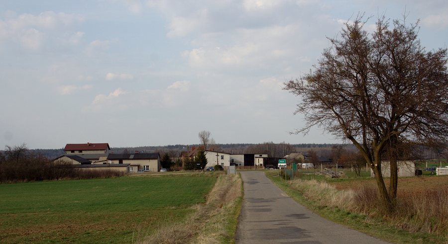 File:Mzyki 2015-04-11 p.jpg