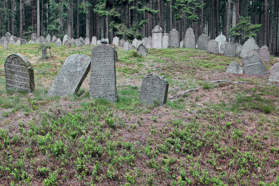 File:Drmoul židovský hřbitov září 2019 (1).jpg