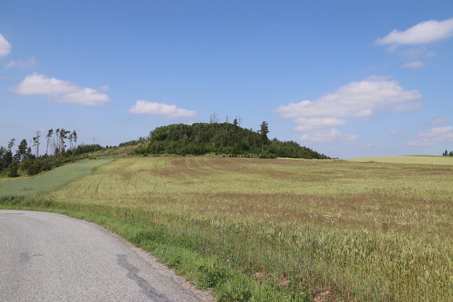 File:Overview 2 of hill Zubrca near Číhalín, Třebíč District.jpg