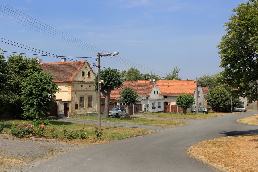 File:Útušice, Robčice, common.jpg